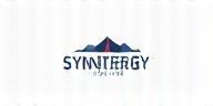 Synergy Holdings Logo